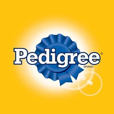 Pedigree Brand Strategy
